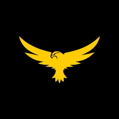 Pagadi Social Media / Agencja Reklamowa